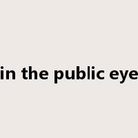 in the public eye是什么意思