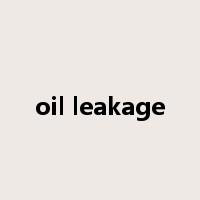 oil leakage是什么意思