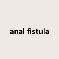 anal fistula是什么意思