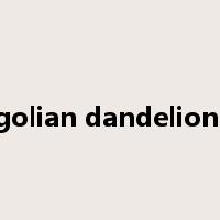 mongolian dandelion herb是什么意思