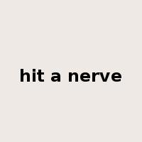 hit a nerve是什么意思