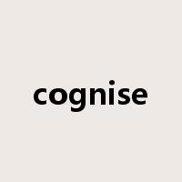 cognise是什么意思