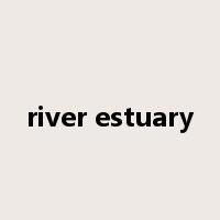 river estuary是什么意思