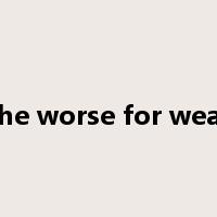 the worse for wear是什么意思