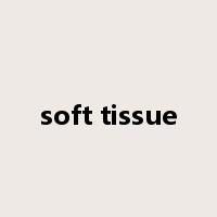 soft tissue是什么意思