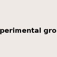 experimental group是什么意思