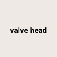 valve head是什么意思