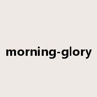 morning-glory是什么意思