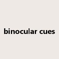 binocular cues是什么意思