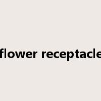 flower receptacle是什么意思
