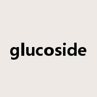 glucoside是什么意思
