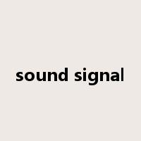 sound signal是什么意思
