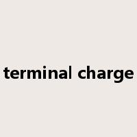 terminal charge是什么意思