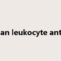human leukocyte antigen是什么意思