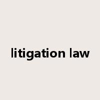 litigation law是什么意思