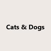 Cats & Dogs是什么意思