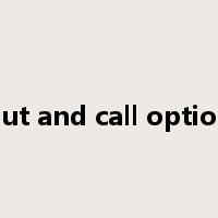 put and call option是什么意思