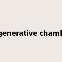 regenerative chamber是什么意思