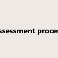 assessment process是什么意思