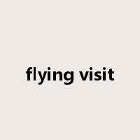 flying visit是什么意思