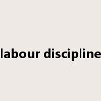 labour discipline是什么意思