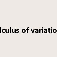calculus of variations是什么意思