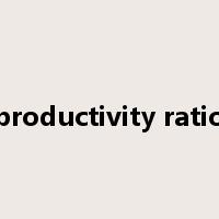 productivity ratio是什么意思