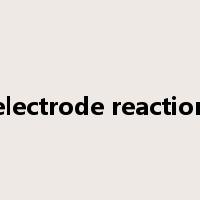 electrode reaction是什么意思