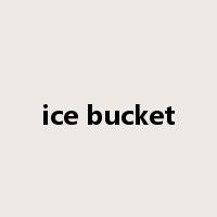 ice bucket是什么意思