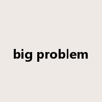big problem是什么意思