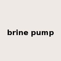 brine pump是什么意思