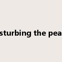 disturbing the peace是什么意思