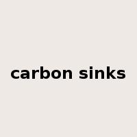 carbon sinks是什么意思