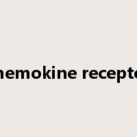 chemokine receptor是什么意思