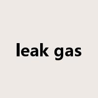 leak gas是什么意思