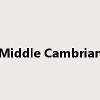 Middle Cambrian是什么意思