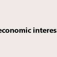 economic interest是什么意思