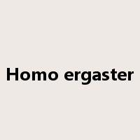 Homo ergaster是什么意思