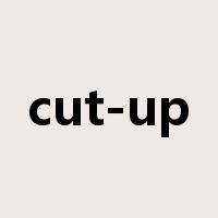 cut-up是什么意思