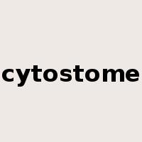 cytostome是什么意思