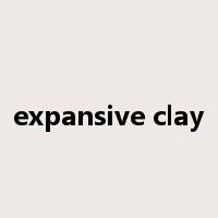 expansive clay是什么意思