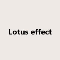 Lotus effect是什么意思