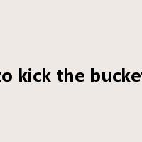 to kick the bucket是什么意思