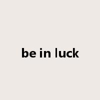 be in luck是什么意思