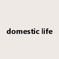domestic life是什么意思
