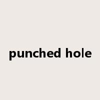 punched hole是什么意思