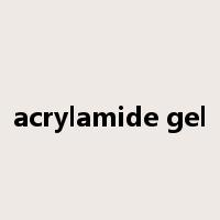 acrylamide gel是什么意思