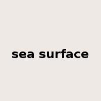 sea surface是什么意思