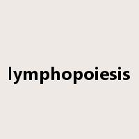 lymphopoiesis是什么意思