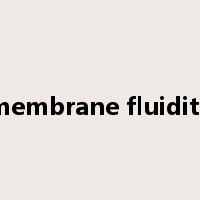 membrane fluidity是什么意思